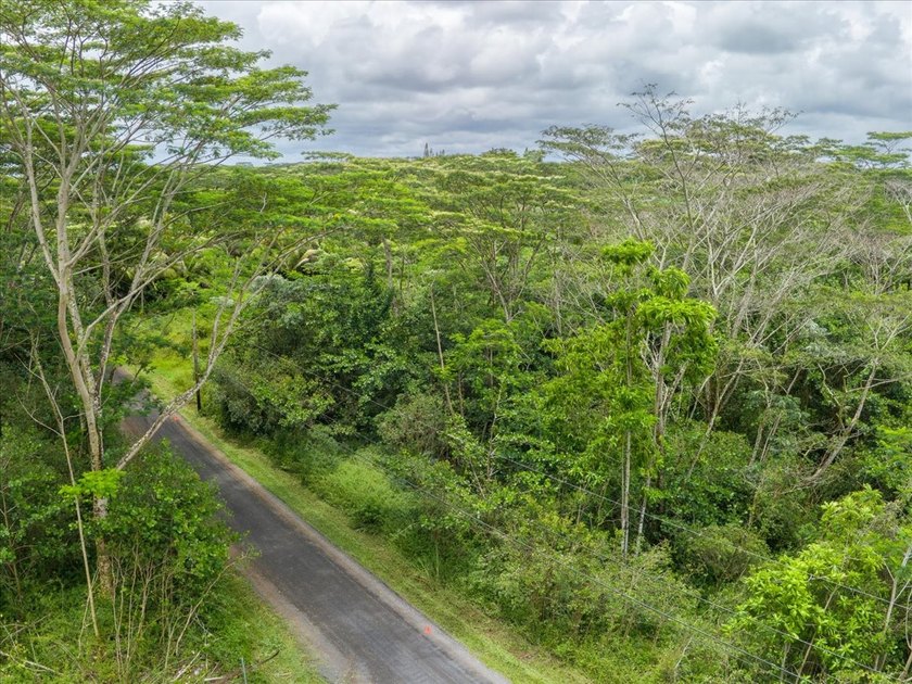 $105,000 One full acre of land located in highly desirable - photo 12