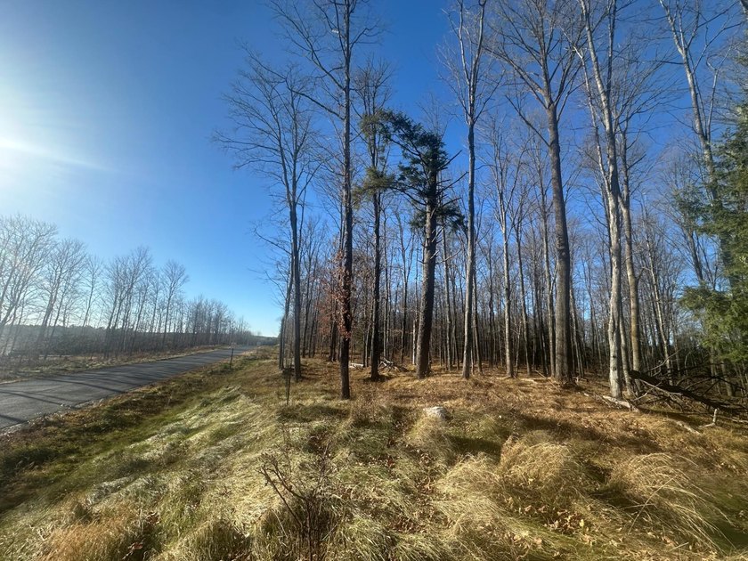 This pristine 5-acre wooded lot in Florence County (Lot 6) - photo 3