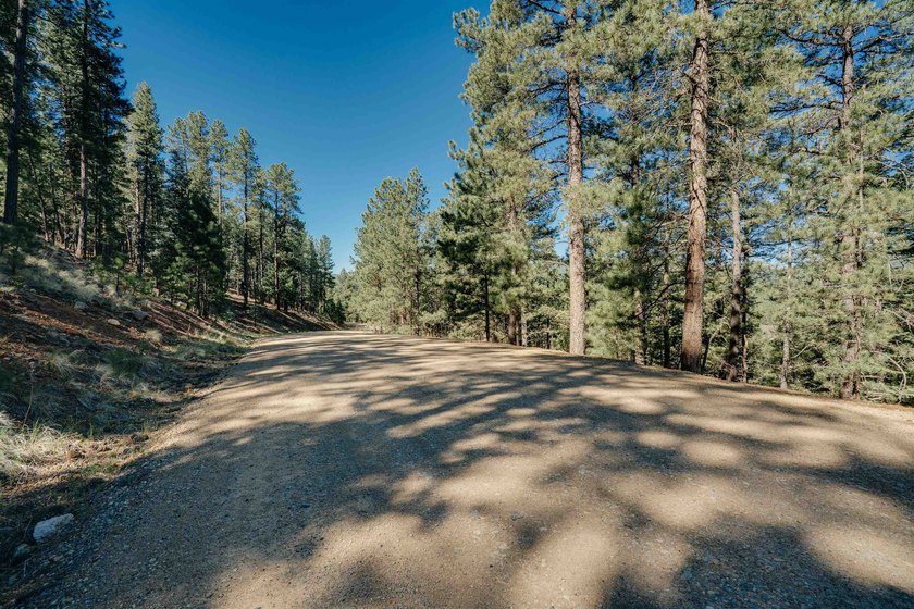 HILLSIDE CANVAS | Lot 9, Snowmass Rd. This hillside, downward- - photo 3