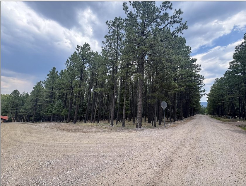 **Beautifully forested .57-acre lot** offering the perfect blend - photo 3