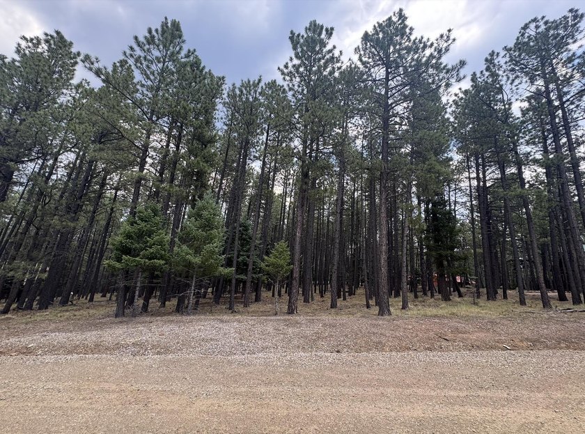 **Beautifully forested .57-acre lot** offering the perfect blend - photo 5
