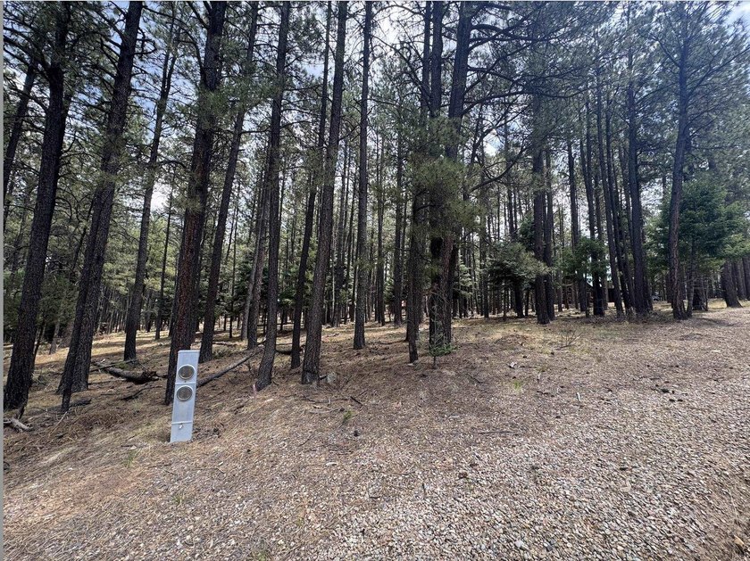 **Beautifully forested .57-acre lot** offering the perfect blend - photo 6