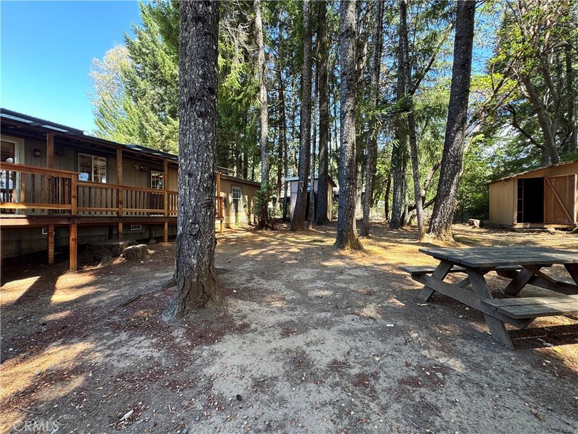 Welcome to 25799 Madrone Drive, a rare opportunity to own two - photo 47