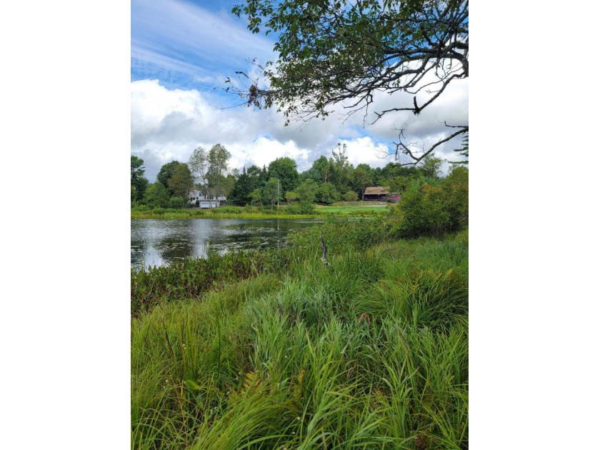 Welcome to lot 13-1 Shore Road. Boasting 16.72 beautiful - photo 6