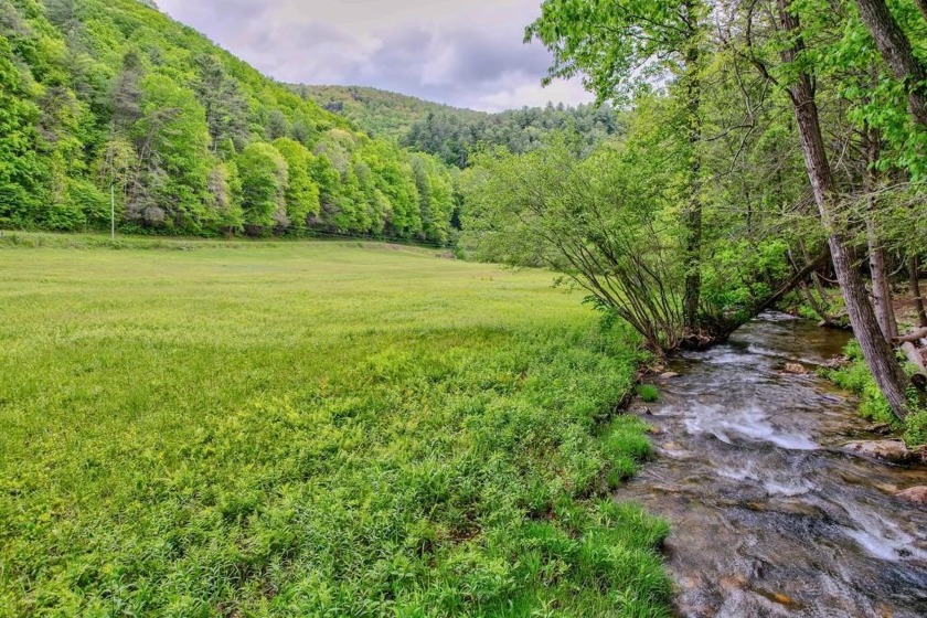 PRICE REDUCED-Breathtaking tract of land with over 39 acres - photo 2