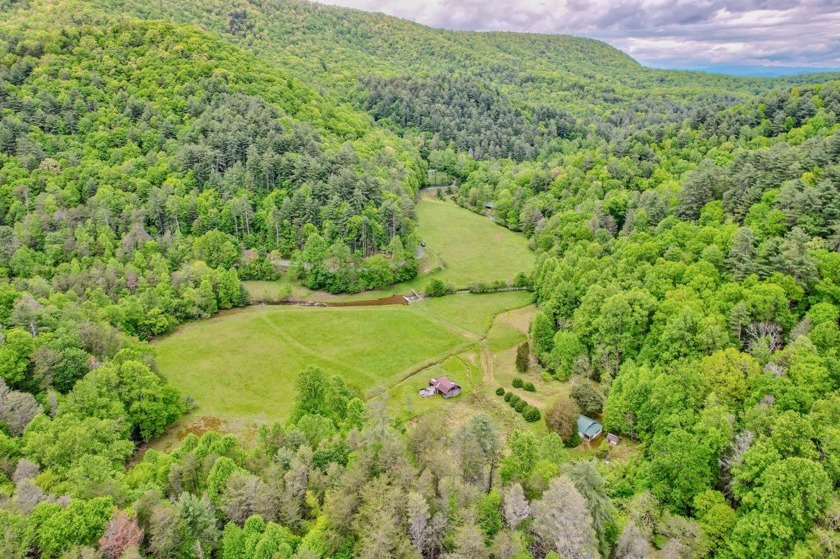 PRICE REDUCED-Breathtaking tract of land with over 39 acres - photo 3