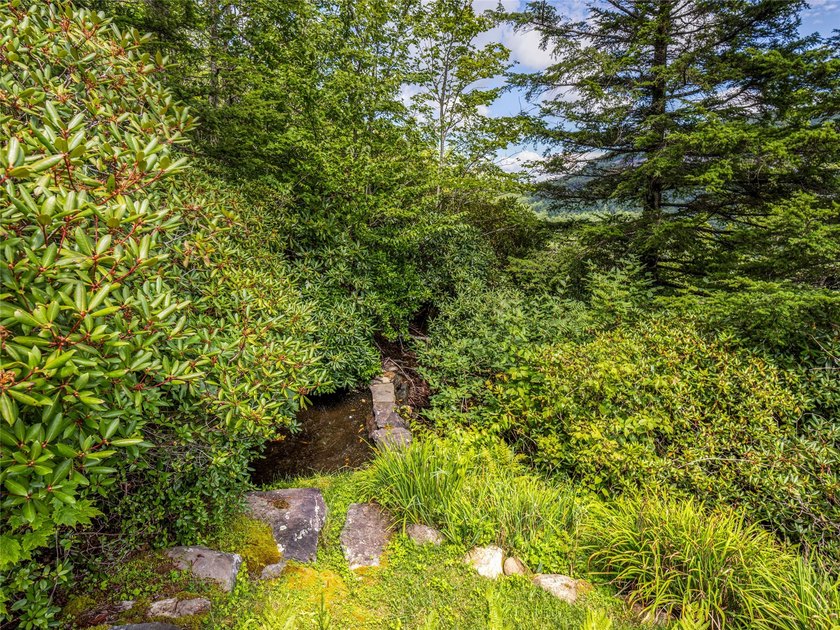 Best Mountain Views in Lake Toxaway! Experience refined mountain - photo 44