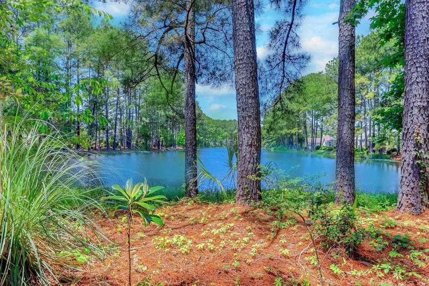 Extremely private, quiet, and secluded with water views from - photo 2