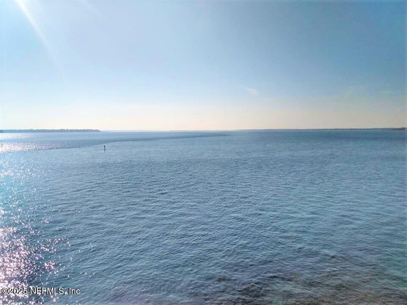 1 Bedroom 1 bath condo. Amazing views of the river from all - photo 3