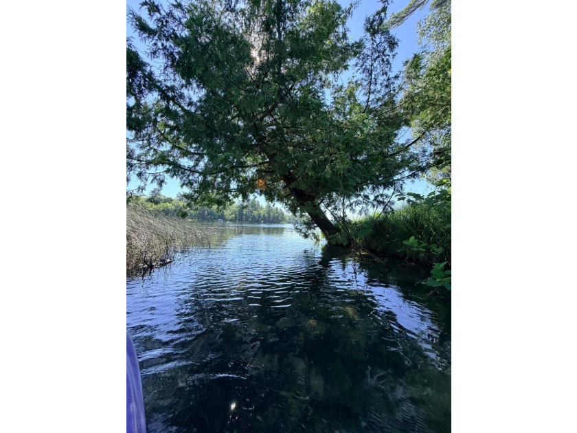 100 Feet on McKeown Lake! Create your Northwoods getaway on this - photo 11