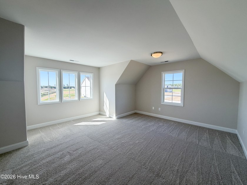 Builder is offering $10000 in buyer Use As You Choose! Welcome - photo 17