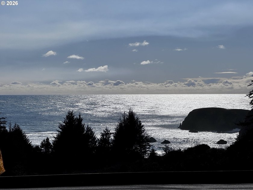 Turnkey Ocean View Cabin - Updated, Income-Producing &amp; Steps to - photo 42