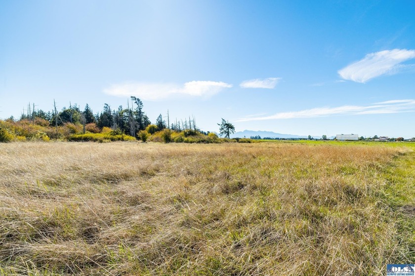 Welcome to this incredible 5.5 acre property located in the - photo 12