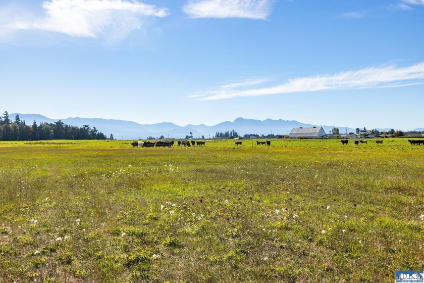 Welcome to this incredible 5.5 acre property located in the - photo 21