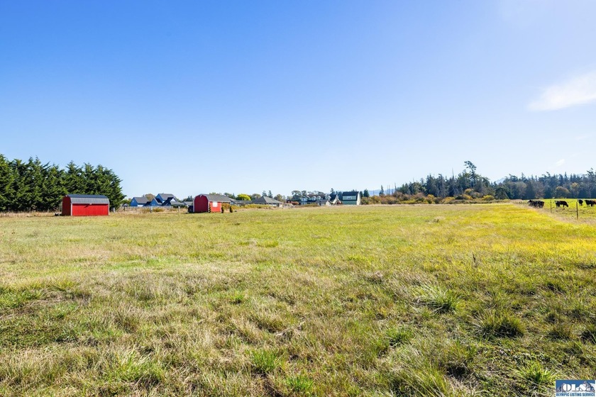Welcome to this incredible 5.5 acre property located in the - photo 22
