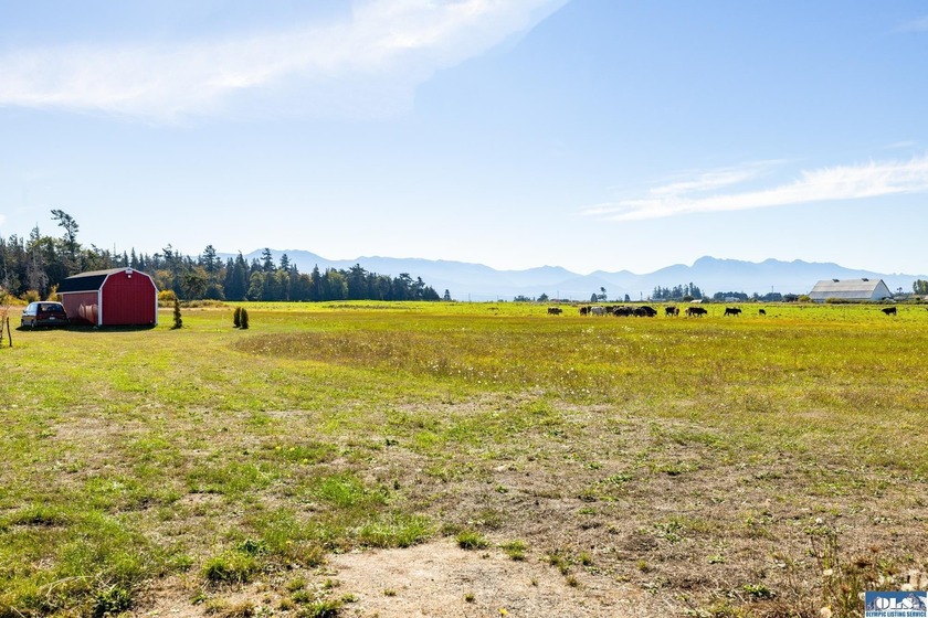 Welcome to this incredible 5.5 acre property located in the - photo 23