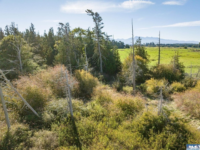 Welcome to this incredible 5.5 acre property located in the - photo 32
