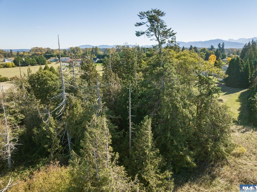 Welcome to this incredible 5.5 acre property located in the - photo 33