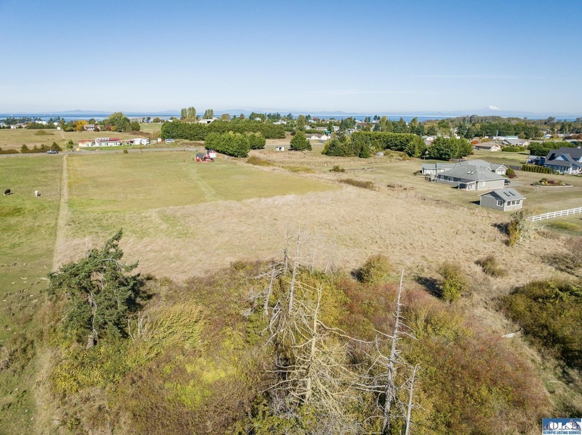 Welcome to this incredible 5.5 acre property located in the - photo 34