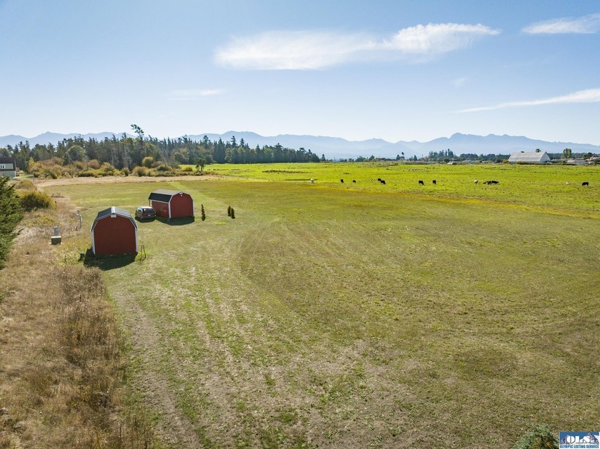 Welcome to this incredible 5.5 acre property located in the - photo 36
