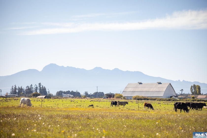 Welcome to this incredible 5.5 acre property located in the - photo 40