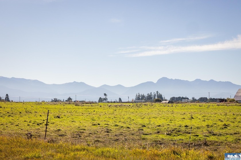 Welcome to this incredible 5.5 acre property located in the - photo 42