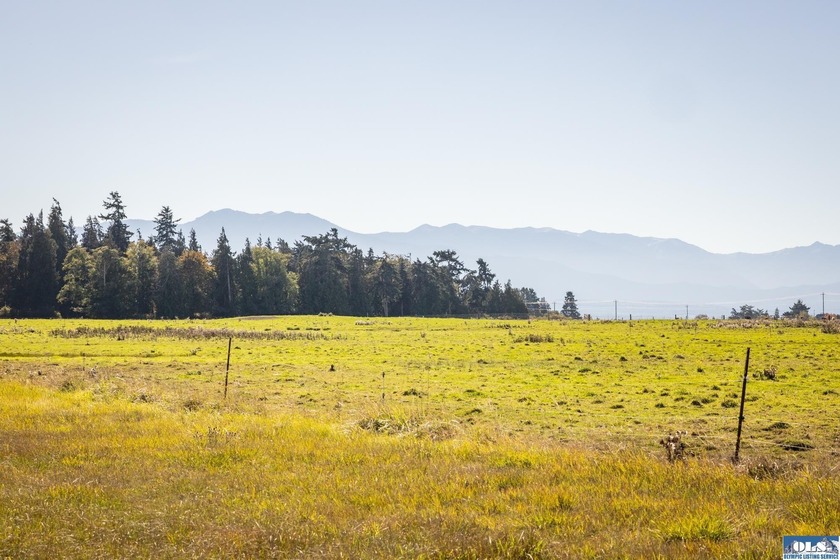 Welcome to this incredible 5.5 acre property located in the - photo 43