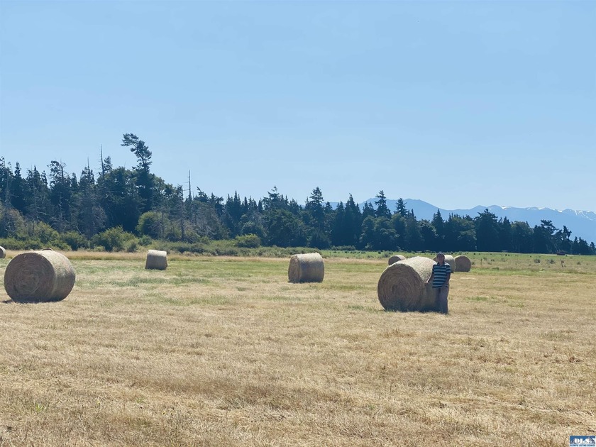 Welcome to this incredible 5.5 acre property located in the - photo 46