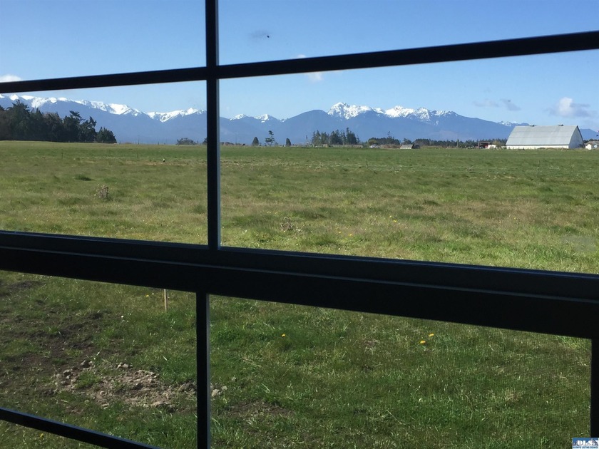 Welcome to this incredible 5.5 acre property located in the - photo 49