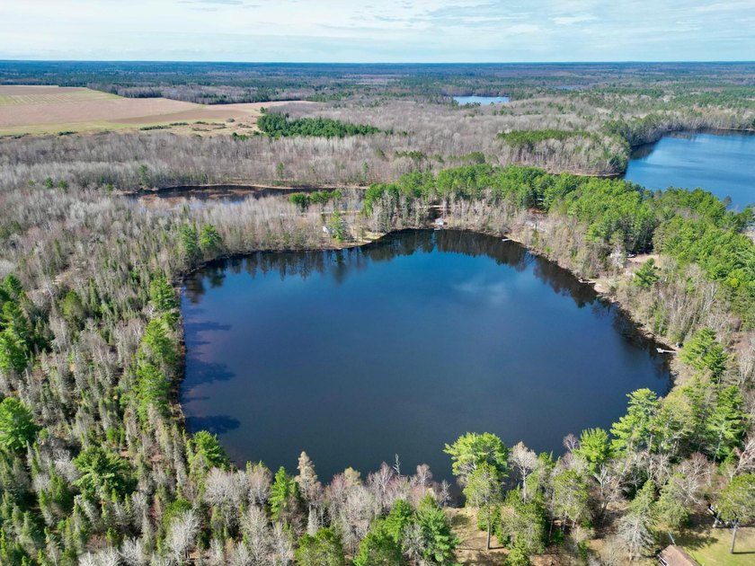53 acres of mostly cleared land on pristine Croker Lake. The - photo 5