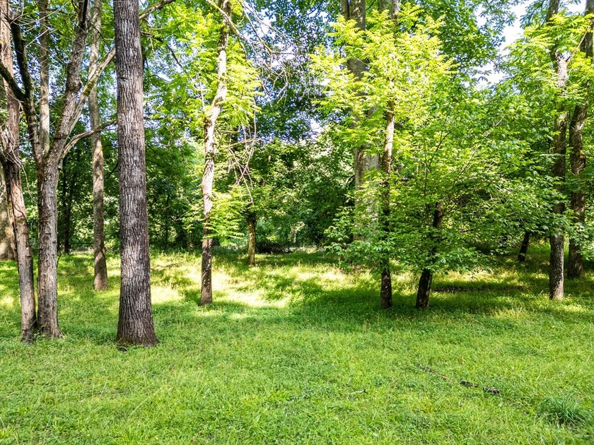Authentic log cabin charm including Hiwassee River frontage - photo 45