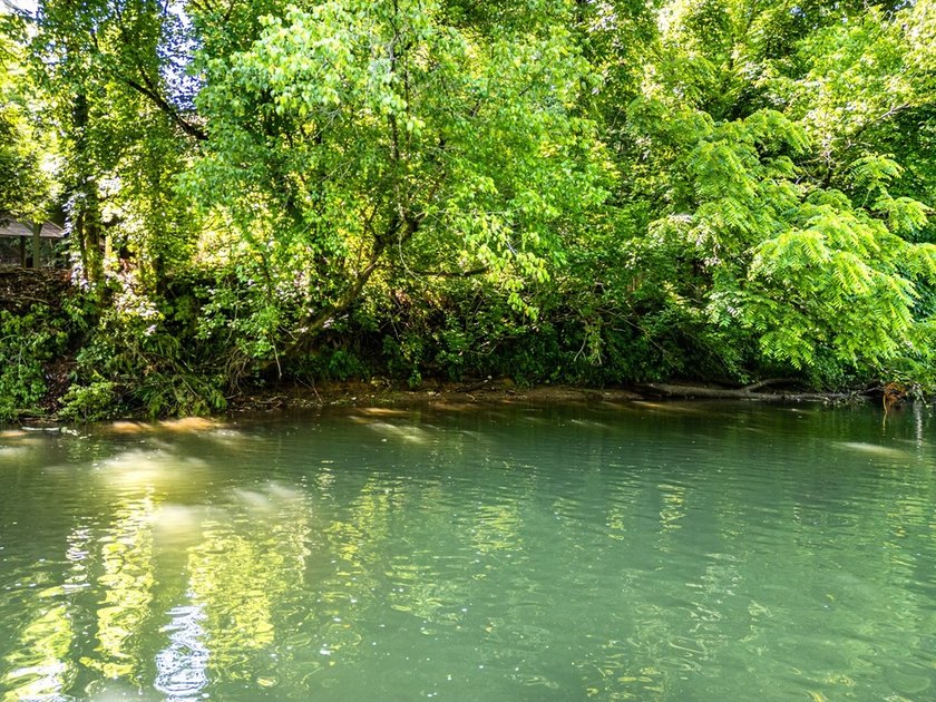 Authentic log cabin charm including Hiwassee River frontage - photo 46