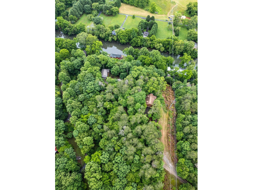 Authentic log cabin charm including Hiwassee River frontage - photo 49