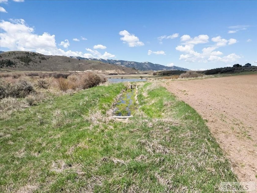 This property is currently under contract: The seller is seeking - photo 28