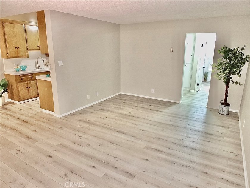 545 Chestnut Avenue unit 203 in Lincoln Park Towers a sunny and - photo 11