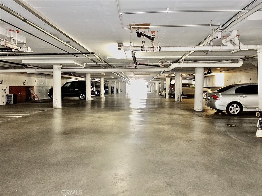 545 Chestnut Avenue unit 203 in Lincoln Park Towers a sunny and - photo 18