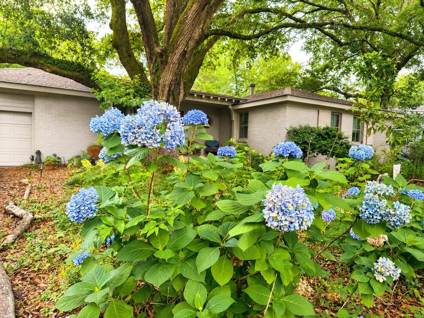 Located in the heart of The Groves--one of Mount Pleasant's most - photo 8