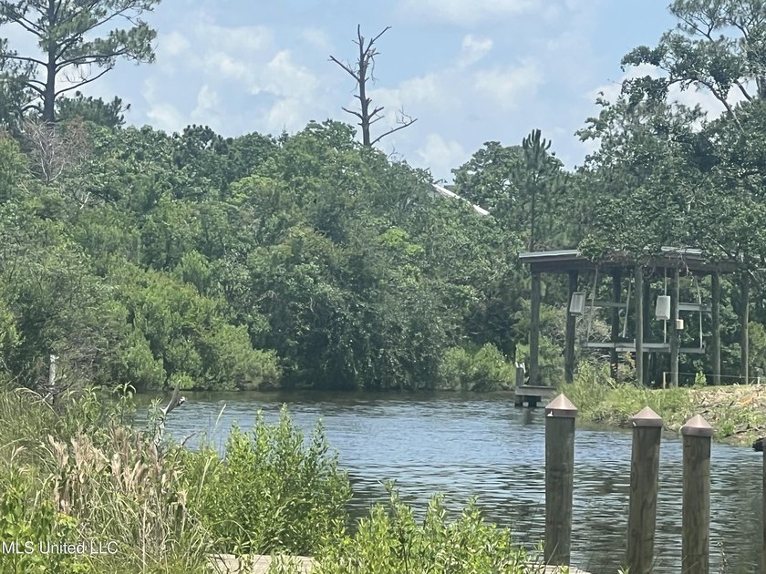 Waterfront Lot in AE 17 Flood zone which is one of the flood - photo 3