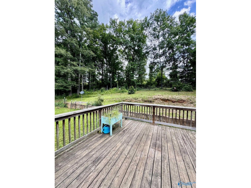 Nice, private, 3 bedroom, 2 bath home located minutes from Weiss - photo 28
