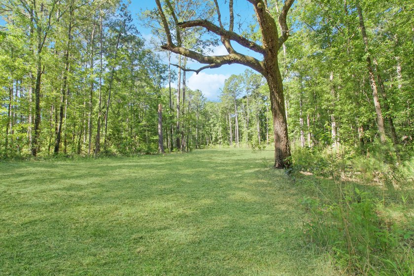 DON'T MISS OUT ON THIS GORGEOUS PROPERTY! NO HOA.Backing up to - photo 3