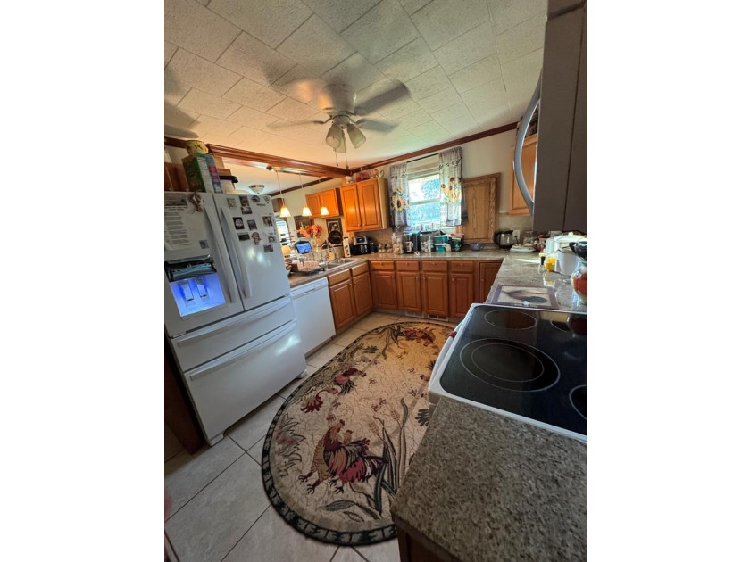 This 3/2 SWGA home is centrally located 10 miles south of - photo 3