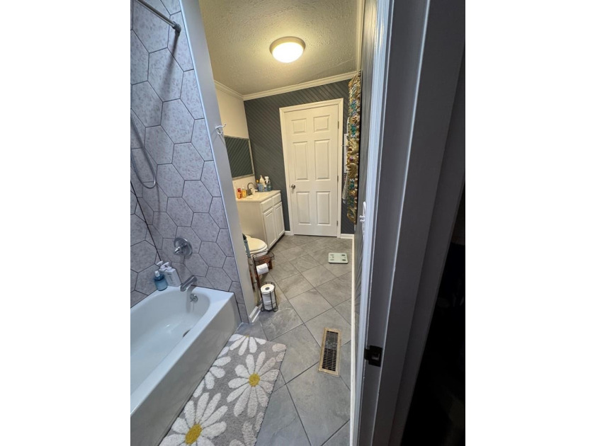 This 3/2 SWGA home is centrally located 10 miles south of - photo 10