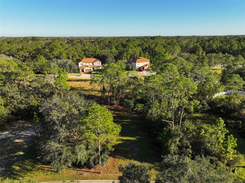 Ready to build your dream home? You have the perfect lot in - photo 3
