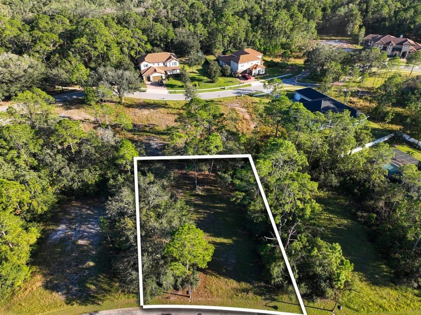 Ready to build your dream home? You have the perfect lot in - photo 4