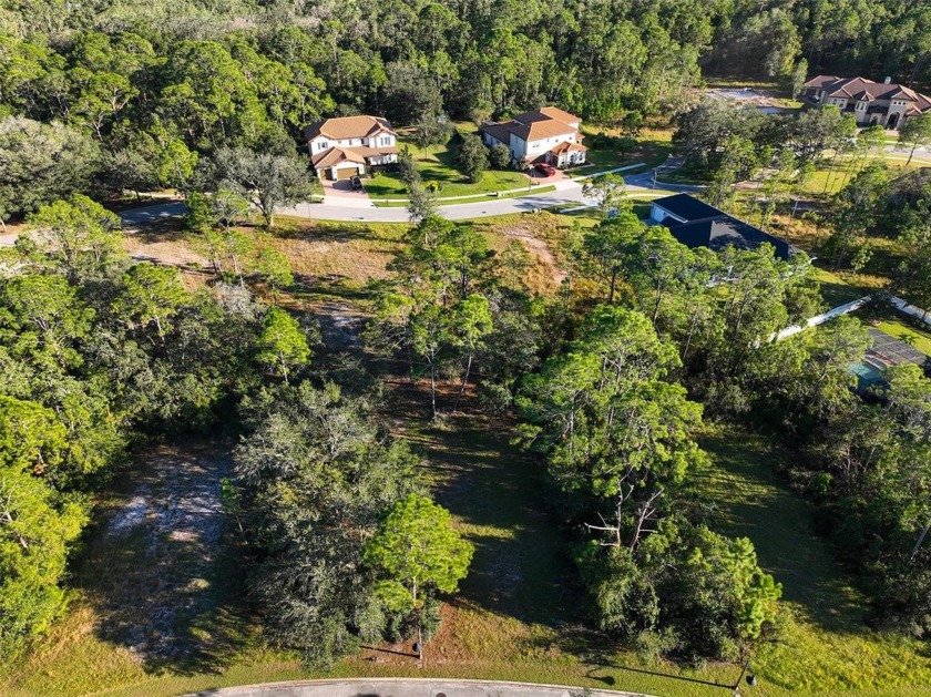 Ready to build your dream home? You have the perfect lot in - photo 5