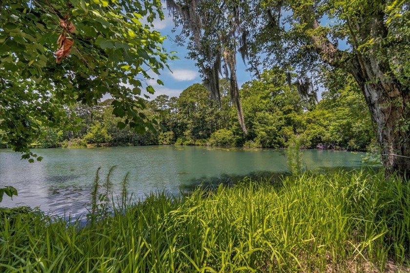Welcome to this unique opportunity to own a beautifully - photo 3