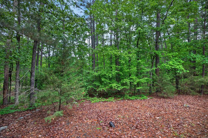 Rare opportunity to build your dream home on this beautiful .33 - photo 3
