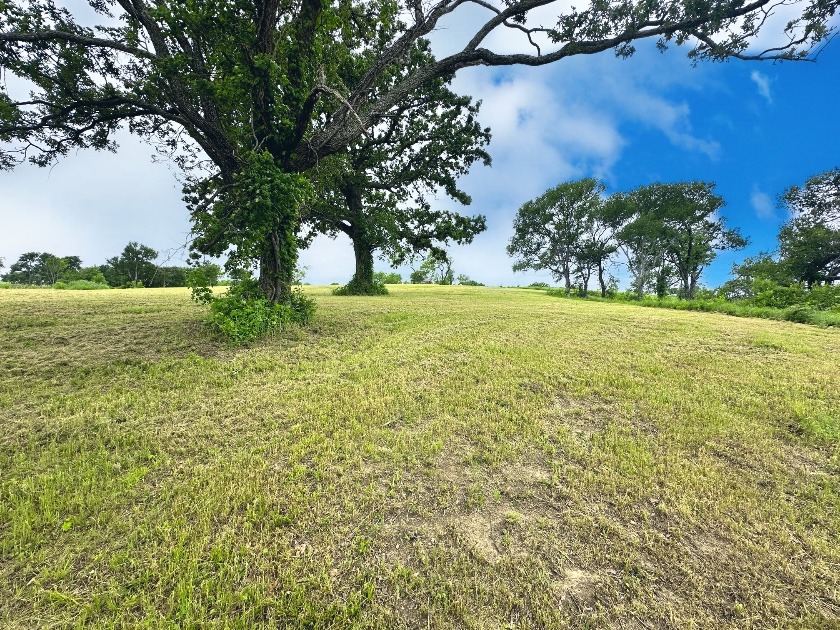 Texas Waterfront Views with Country Vibes. Build a Boathouse! - photo 35