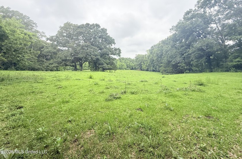 This attractive 12.22 +/- acre parcel offers excellent potential - photo 11