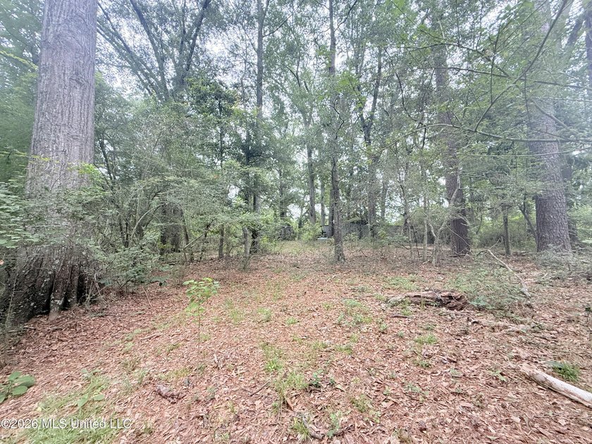 This attractive 12.22 +/- acre parcel offers excellent potential - photo 12